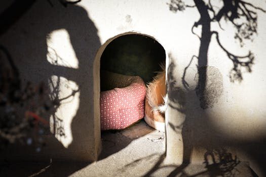 Abogados en Asesor.Legal private equity por que los fondos requieren abogados expertos en fiscalidad y contratos 1