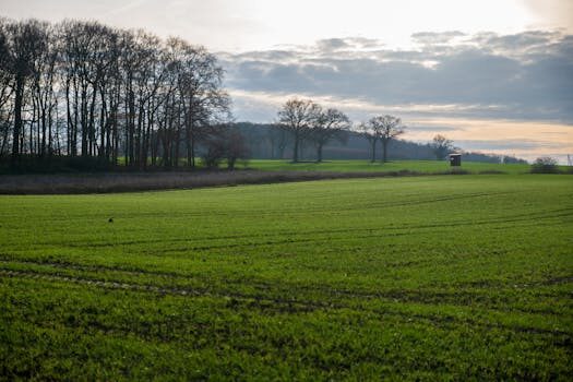Abogados en Asesor.Legal problemas con administrador de fincas como reclamar y cambiarlo legalmente 2