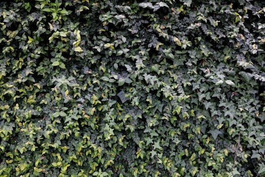 Abogados en Asesor.Legal productos sanitarios defectuosos como te asesora un abogado para reclamar danos 3