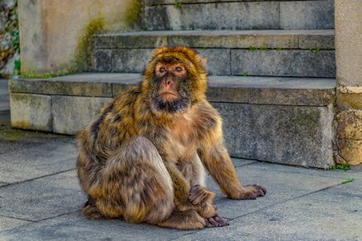 Abogados en Asesor.Legal proteccion de menores como actua un abogado en coordinacion con servicios sociales y juzgados de familia 1