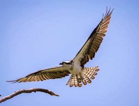 Abogados en Asesor.Legal reclamaciones por cancelacion de vuelo como puede un abogado maximizar tu compensacion 3