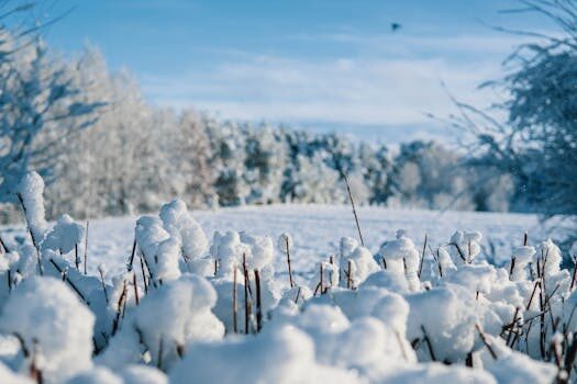 Abogados en Asesor.Legal reclamar a air canada rouge cuando es util un abogado para reclamar a air canada rouge 4