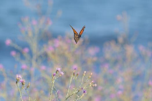 Abogados en Asesor.Legal | Asesoría legal para Reclamar a Air Taxi & Charter International: cuándo necesitas abogado para reclamaciones en vuelos privados Abogados en Asesor.Legal reclamar a air taxi charter international cuando necesitas abogado para reclamaciones en vuelos privados 3