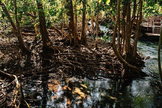 Abogados en Asesor.Legal | Asesoría legal para Reclamar a Banco Pichincha España: cuándo es necesario un abogado para reclamar a Banco Pichincha Abogados en Asesor.Legal reclamar a banco pichincha espana cuando conviene un abogado para reclamar a banco pichincha 4
