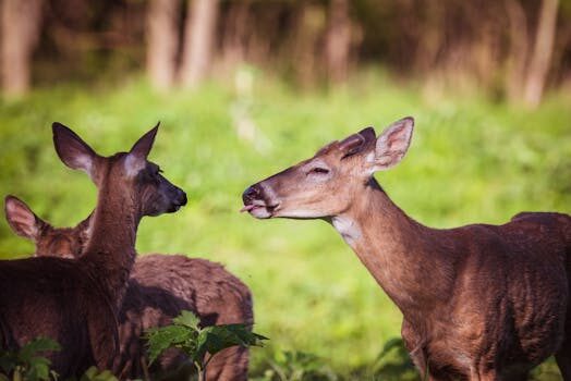 Abogados en Asesor.Legal reclamar a renfe como pedir devolucion compensacion e indemnizacion 2026 1