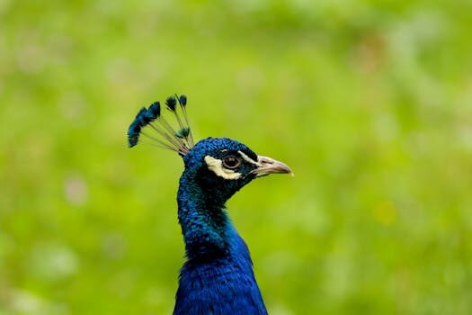 Abogados en Asesor.Legal reclamar a renfe como pedir devolucion compensacion e indemnizacion 2026 2