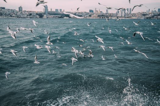 Abogados en Asesor.Legal reclamar a serair transworld press como puede ayudarte un abogado en vuelos de carga o charter 1