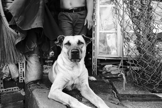 Abogados en Asesor.Legal reclamar a vietnam airlines por que conviene un abogado en reclamaciones a vietnam airlines 2