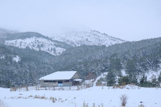 Abogados en Asesor.Legal reclamar a wamos air cuando es util un abogado para reclamaciones en vuelos charter de wamos 3