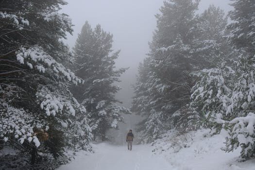 Abogados en Asesor.Legal reclamar a zorex air transport por que es util un abogado en reclamaciones de carga aerea 2