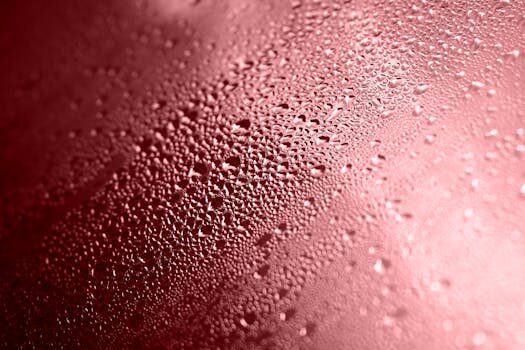 Abogados en Asesor.Legal recurrir una multa con exito estrategia plazos y documentos 2026 1