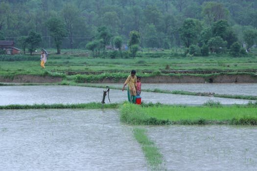 Abogados en Asesor.Legal recursos civiles como puede un abogado valorar si conviene recurrir o cerrar un acuerdo 1