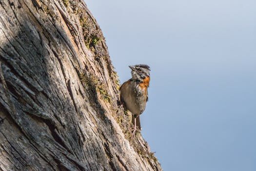Abogados en Asesor.Legal reforma del reglamento de extranjeria novedades y como solicitar en 2026 3