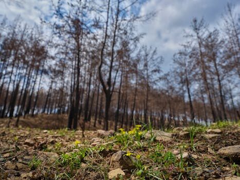 Abogados en Asesor.Legal regeneracion urbana licencias obras y como reclamar danos en 2026 2