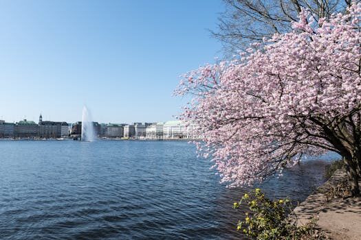 Abogados en Asesor.Legal registrar tu marca por que es clave y como hacerlo en 2026 3