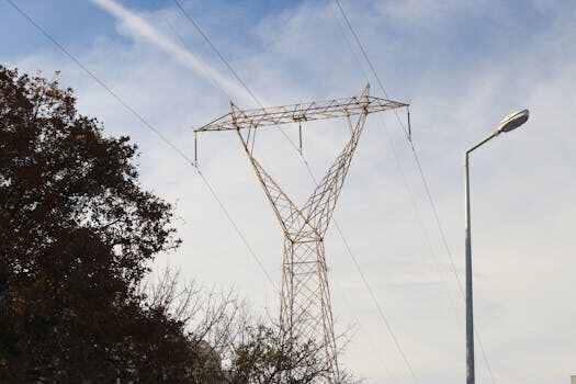 Abogados en Asesor.Legal | Asesoría legal para Registro nacional de abogados de oficio: cómo encontrar un defensor y verificar asignación Abogados en Asesor.Legal registro nacional de abogados de oficio como encontrar defensor y verificar asignacion 2