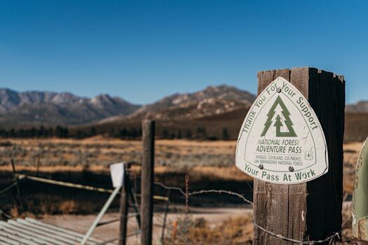 Abogados en Asesor.Legal renovar autorizacion de residencia y trabajo por cuenta ajena guia 2026 1