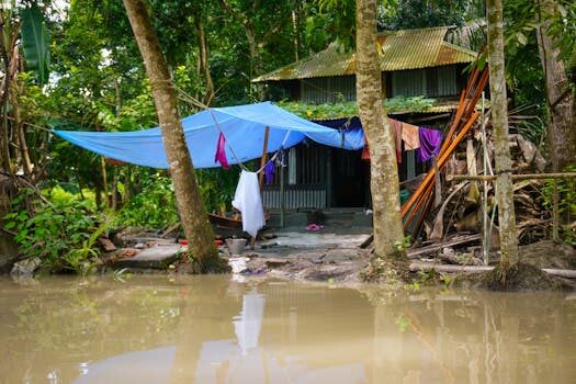 Abogados en Asesor.Legal | Asesoría legal para Responsabilidad por datos incorrectos en el modelo 145 Abogados en Asesor.Legal responsabilidad por datos incorrectos en el modelo 145 1