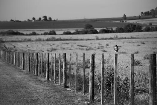 Abogados en Asesor.Legal restitucion de tierras cuando necesitas un abogado para reclamar propiedades rusticas 1