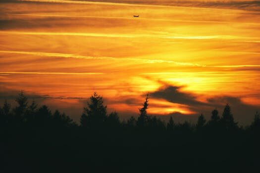 Abogados en Asesor.Legal | Asesoría legal para Retrasos de vuelo +3 horas: cómo reclamar compensación y modelo de escrito Abogados en Asesor.Legal retrasos de vuelo 3 horas como reclamar compensacion y modelo de escrito 2