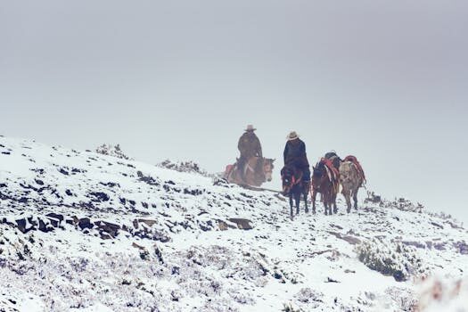 Abogados en Asesor.Legal riders como empleados como reclamar laboralidad salarios y cotizaciones atrasadas 3