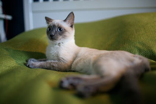 Abogados en Asesor.Legal seguro de la comunidad como reclamar danos en tu vivienda y que cubre 4