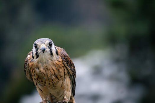 Abogados en Asesor.Legal seguros de transporte aereo y maritimo por que necesitas un abogado especializado 4