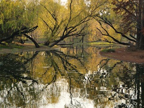 Abogados en Asesor.Legal | Asesoría legal para Silencio administrativo: cómo reclamar y qué hacer si la Administración no responde Abogados en Asesor.Legal silencio administrativo como reclamar y que hacer si la administracion no responde 3