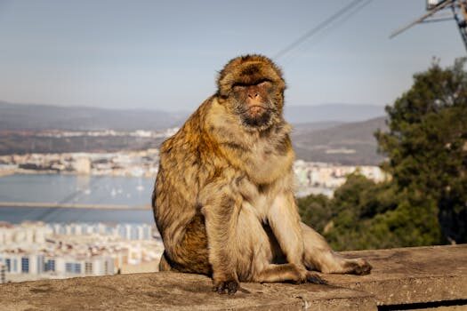 Abogados en Asesor.Legal sociedades civiles como puede ayudarte un abogado a crearlas regularlas o disolverlas sin conflictos 4