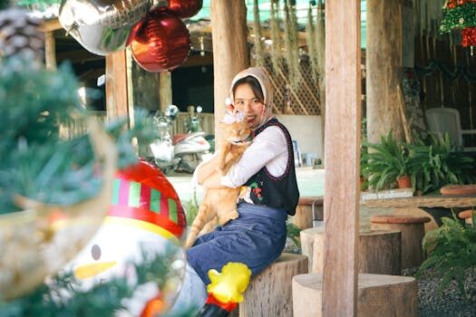 Abogados en Asesor.Legal violencia de genero como pedir orden de proteccion y asistencia legal gratuita 3