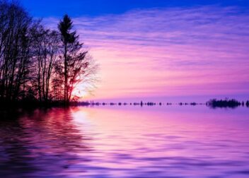 Especialista legal en Zaragoza para derecho de insolvencia de pymes