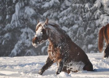Abogados en Asesor.Legal | Asesoría legal para Abogado para alegaciones en expediente sancionador VTC paso a paso Abogado para alegaciones en expediente sancionador VTC paso a paso