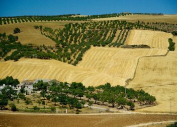 Abogado para defensa penal por delitos contra la hacienda pública Zaragoza