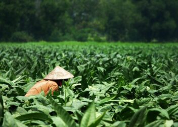 Qué debe incluir la hoja de encargo del abogado para reclamar el extra por hijos