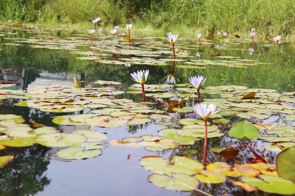 Especialista legal en Zaragoza para derecho de agencias de viajes