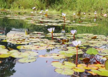 Abogados en Asesor.Legal | Asesoría legal para Especialista legal en Zaragoza para derecho de agencias de viajes Especialista legal en Zaragoza para derecho de agencias de viajes