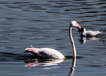 Solo 395€ gestoría en Antequera para revisar requisitos de extranjeros de Guinea 2026