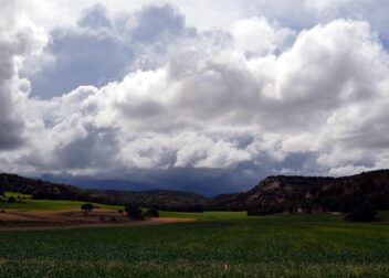 Precio de asesoramiento jurídico integral para flota en Castilla y León
