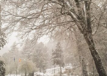 Cambio de titularidad VTC en Jaén con coordinación fiscal y registral