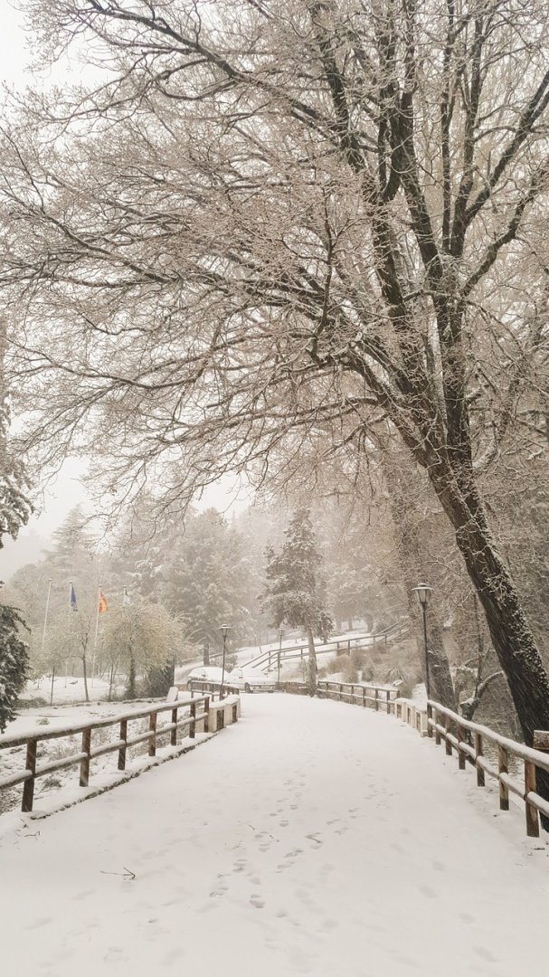 Cambio de titularidad VTC en Jaén con coordinación fiscal y registral