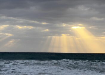 Abogados en Asesor.Legal | Asesoría legal para Todo incluido 395€ gestoría en Fuengirola para tramitar papeles de extranjeros de Venezuela Todo incluido 395€ gestoría en Fuengirola para tramitar papeles de extranjeros de Venezuela