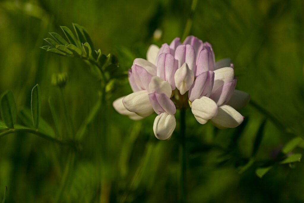 Cuánto cuesta un abogado para defensa completa ante varias sanciones VTC