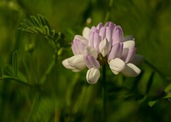 Abogados en Asesor.Legal | Asesoría legal para Cuánto cuesta un abogado para defensa completa ante varias sanciones VTC Cuánto cuesta un abogado para defensa completa ante varias sanciones VTC