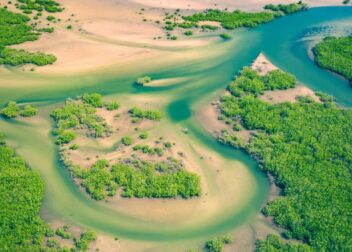 Contrata por 395€ equipo jurídico en Mijas para expediente de extranjeros de Senegal 2026