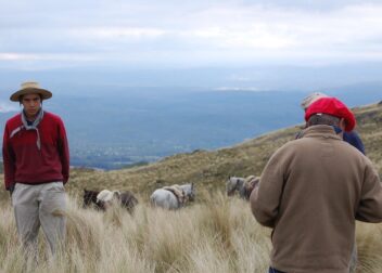 Abogados en Asesor.Legal | Asesoría legal para Regularización 2026 citas médicas como prueba de estancia Regularización 2026 citas médicas como prueba de estancia
