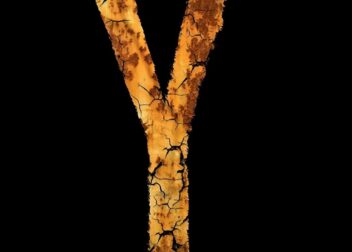 Qué actas y acuerdos internos se suelen exigir en cambios de titularidad VTC