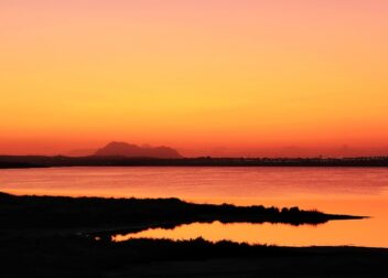 Abogados en Asesor.Legal | Asesoría legal para Todo incluido 395€ gestoría en Torrevieja para tramitar papeles de inmigrantes de Venezuela Todo incluido 395€ gestoría en Torrevieja para tramitar papeles de inmigrantes de Venezuela