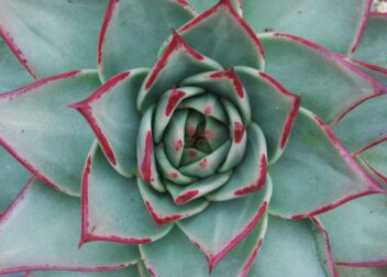 Abogados en Asesor.Legal | Asesoría legal para Abogado para revisar cumplimiento de ratio y requisitos administrativos VTC Abogado para revisar cumplimiento de ratio y requisitos administrativos VTC