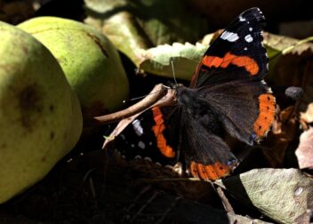 Guía para contratar abogado en Zaragoza para incapacidad permanente