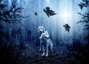 Cómo preparar el “pack” documental para cambio de titularidad VTC en 2026